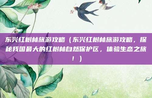 东兴红树林旅游攻略(东兴红树林旅游攻略,探秘我国最大的红树林自然保护区,体验生态之旅!)