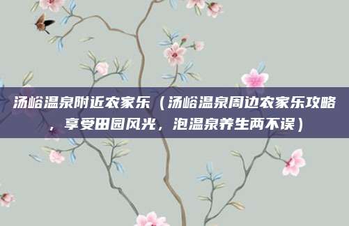 汤峪温泉附近农家乐(汤峪温泉周边农家乐攻略,享受田园风光,泡温泉养生两不误)