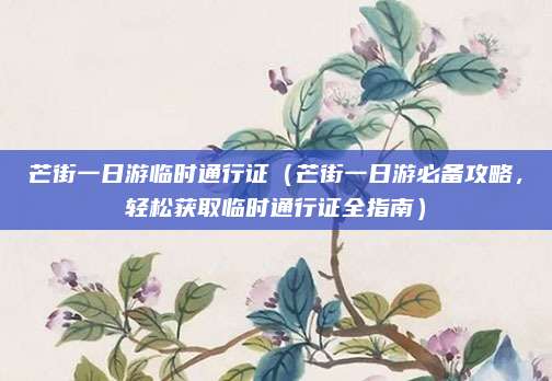 芒街一日游临时通行证（芒街一日游必备攻略，轻松获取临时通行证全指南）