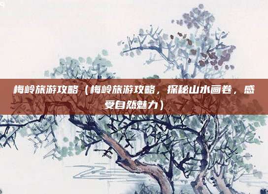 梅岭旅游攻略(梅岭旅游攻略,探秘山水画卷,感受自然魅力)