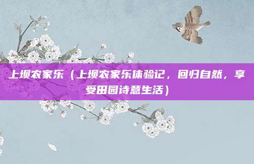 上坝农家乐（上坝农家乐体验记，回归自然，享受田园诗意生活）