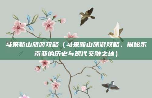 马来新山旅游攻略(马来新山旅游攻略,探秘东南亚的历史与现代交融之地)