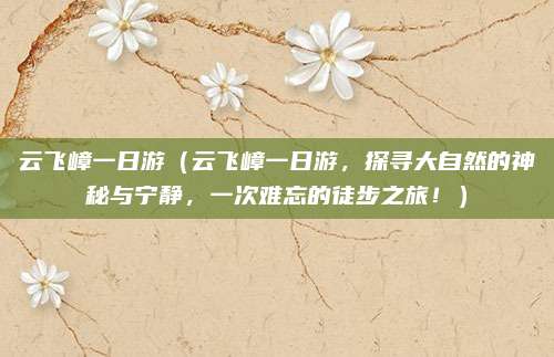 云飞嶂一日游(云飞嶂一日游,探寻大自然的神秘与宁静,一次难忘的徒步之旅!)
