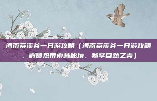 海南茶溪谷一日游攻略(海南茶溪谷一日游攻略,解锁热带雨林秘境,畅享自然之美)