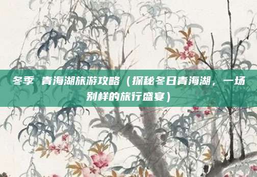 冬季 青海湖旅游攻略(探秘冬日青海湖,一场别样的旅行盛宴)