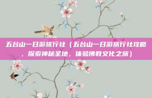 五台山一日游旅行社（五台山一日游旅行社攻略，探索神秘圣地，体验佛教文化之旅）