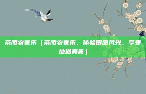 茶陵农家乐（茶陵农家乐，体验田园风光，享受地道美食）