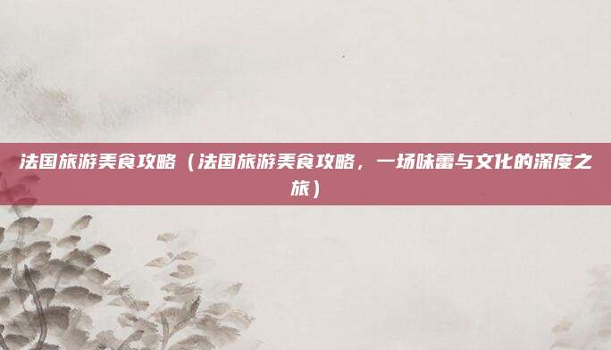 法国旅游美食攻略(法国旅游美食攻略,一场味蕾与文化的深度之旅)