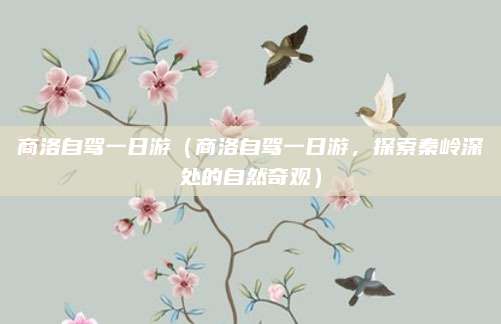商洛自驾一日游（商洛自驾一日游，探索秦岭深处的自然奇观）