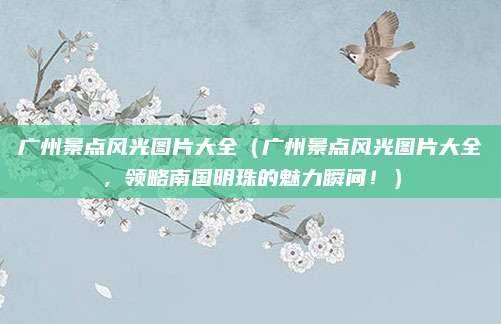 广州景点风光图片大全(广州景点风光图片大全,领略南国明珠的魅力瞬间!)