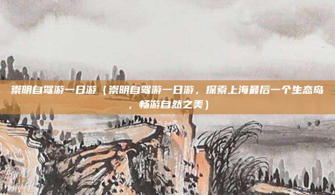 崇明自驾游一日游(崇明自驾游一日游,探索上海最后一个生态岛,畅游自然之美)