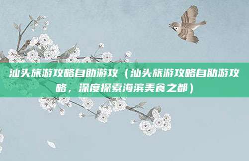 汕头旅游攻略自助游攻(汕头旅游攻略自助游攻略,深度探索海滨美食之都)