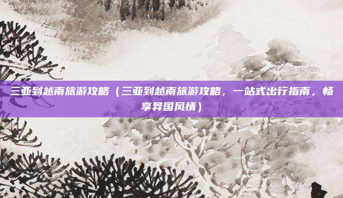 三亚到越南旅游攻略（三亚到越南旅游攻略，一站式出行指南，畅享异国风情）