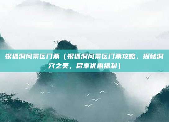 银狐洞风景区门票（银狐洞风景区门票攻略，探秘洞穴之美，尽享优惠福利）