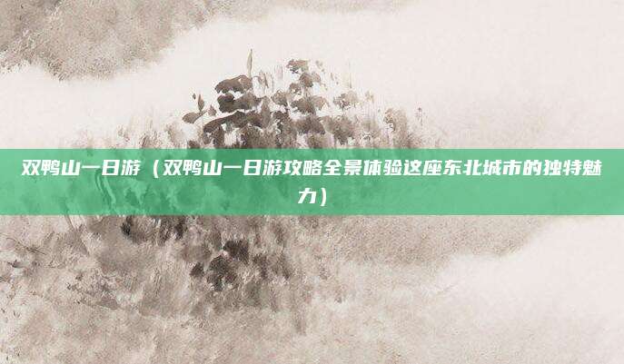 双鸭山一日游（双鸭山一日游攻略全景体验这座东北城市的独特魅力）