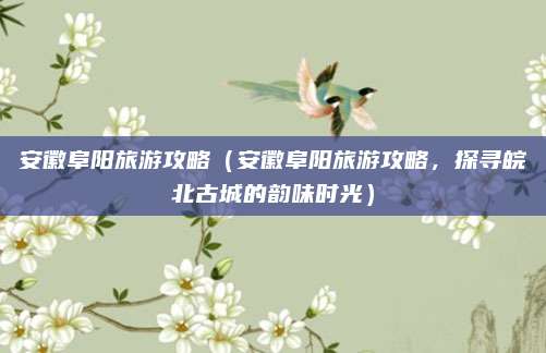 安徽阜阳旅游攻略（安徽阜阳旅游攻略，探寻皖北古城的韵味时光）
