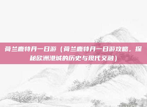 荷兰鹿特丹一日游(荷兰鹿特丹一日游攻略,探秘欧洲港城的历史与现代交融)
