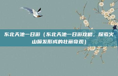 东北天池一日游(东北天池一日游攻略,探索火山喷发形成的壮丽奇观)