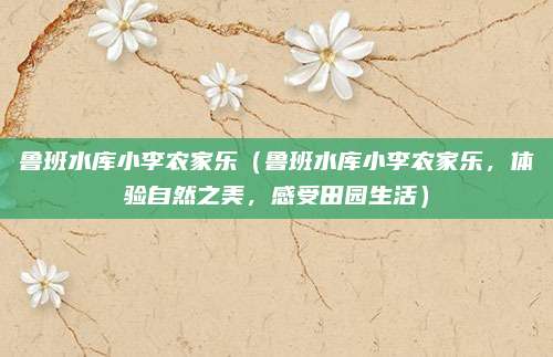 鲁班水库小李农家乐(鲁班水库小李农家乐,体验自然之美,感受田园生活)