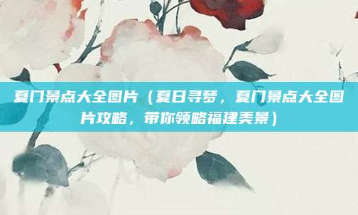 夏门景点大全图片(夏日寻梦,夏门景点大全图片攻略,带你领略福建美景)