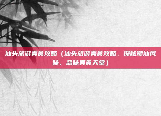 汕头旅游美食攻略(汕头旅游美食攻略,探秘潮汕风味,品味美食天堂)