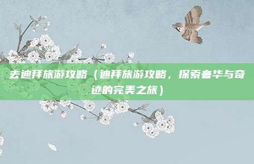 去迪拜旅游攻略(迪拜旅游攻略,探索奢华与奇迹的完美之旅)