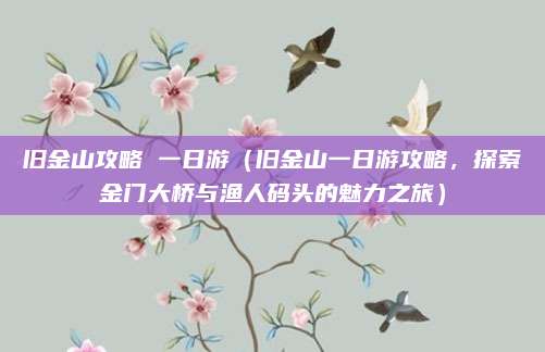 旧金山攻略 一日游(旧金山一日游攻略,探索金门大桥与渔人码头的魅力之旅)