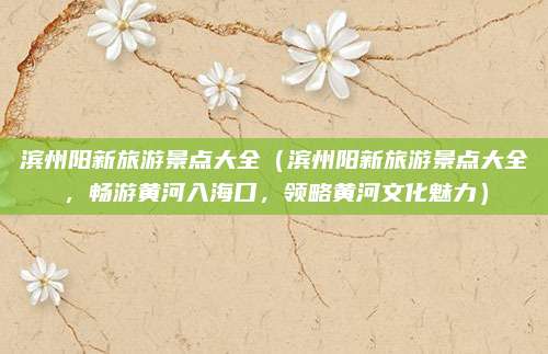 滨州阳新旅游景点大全(滨州阳新旅游景点大全,畅游黄河入海口,领略黄河文化魅力)