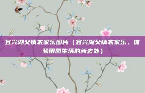 宜兴湖父镇农家乐图片（宜兴湖父镇农家乐，体验田园生活的新去处）