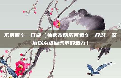 东京包车一日游(独家攻略东京包车一日游,深度探索这座城市的魅力)