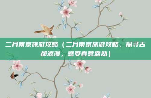 二月南京旅游攻略(二月南京旅游攻略,探寻古都浪漫,感受春意盎然)
