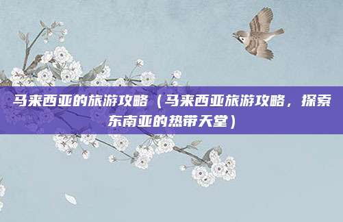 马来西亚的旅游攻略(马来西亚旅游攻略,探索东南亚的热带天堂)