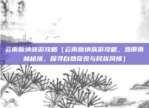 云南版纳旅游攻略(云南版纳旅游攻略,热带雨林秘境,探寻自然奇观与民族风情)