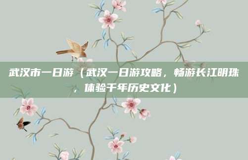 武汉市一日游（武汉一日游攻略，畅游长江明珠，体验千年历史文化）