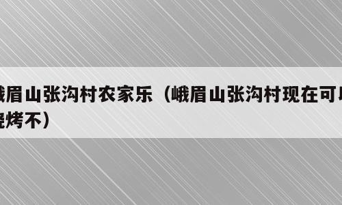 峨眉山张沟村农家乐（峨眉山张沟村现在可以烧烤不）