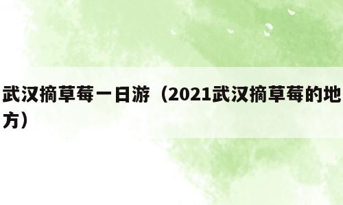 武汉摘草莓一日游（2021武汉摘草莓的地方）