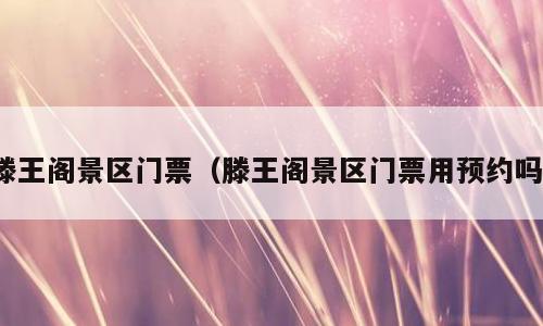 滕王阁景区门票（滕王阁景区门票用预约吗）