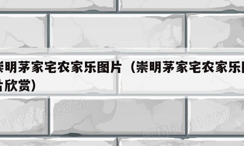 崇明茅家宅农家乐图片（崇明茅家宅农家乐图片欣赏）