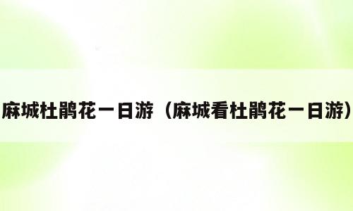 麻城杜鹃花一日游（麻城看杜鹃花一日游）
