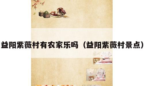 益阳紫薇村有农家乐吗（益阳紫薇村景点）