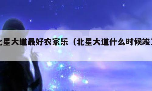北星大道最好农家乐（北星大道什么时候竣工）