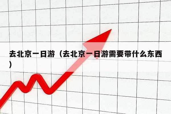 去北京一日游（去北京一日游需要带什么东西）