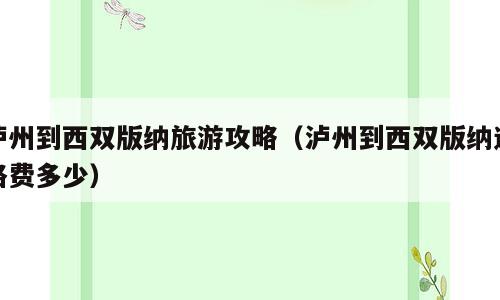 泸州到西双版纳旅游攻略（泸州到西双版纳过路费多少）