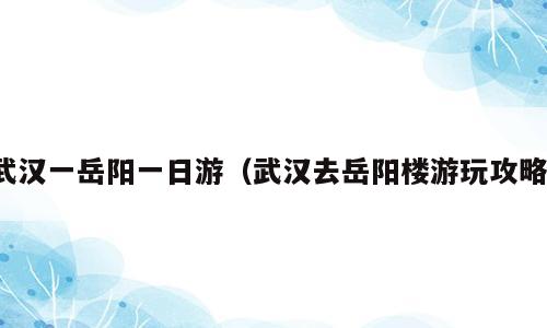 武汉一岳阳一日游（武汉去岳阳楼游玩攻略）