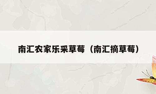 南汇农家乐采草莓（南汇摘草莓）
