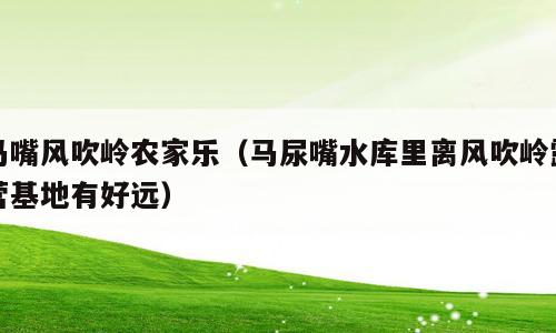 马嘴风吹岭农家乐（马尿嘴水库里离风吹岭露营基地有好远）