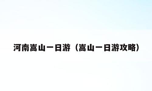 河南嵩山一日游（嵩山一日游攻略）