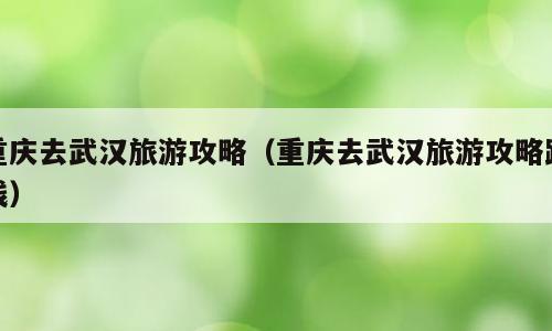重庆去武汉旅游攻略（重庆去武汉旅游攻略路线）
