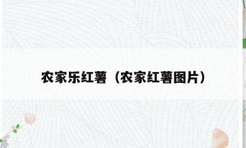 农家乐红薯（农家红薯图片）
