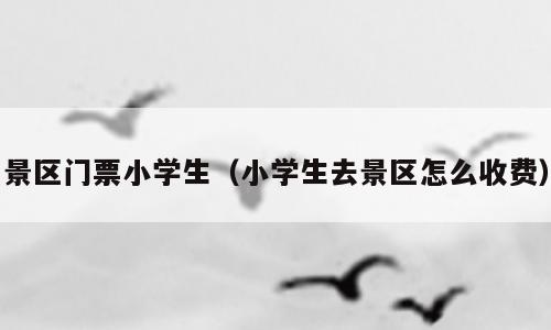 景区门票小学生（小学生去景区怎么收费）